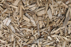 biomass boilers Durisdeermill