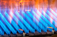 Durisdeermill gas fired boilers